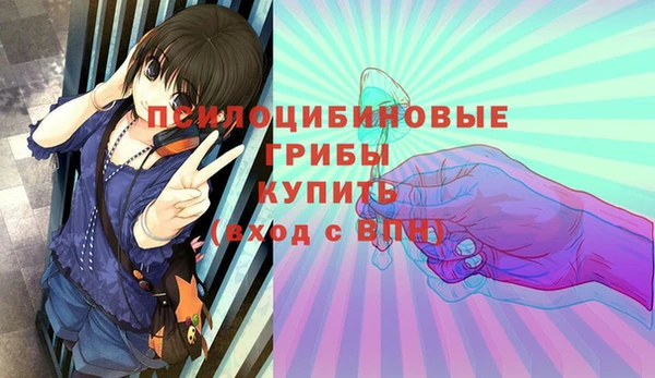 тгк Абинск