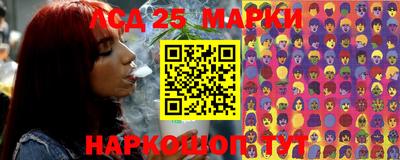 индика Заволжье