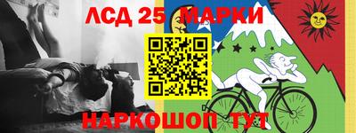 индика Заволжье