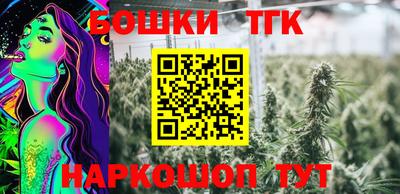 индика Заволжье
