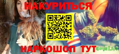 индика Заволжье
