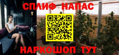 spice Заводоуковск