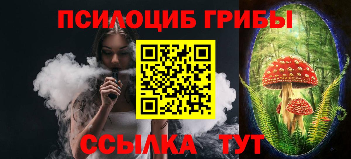Псилоцибиновые грибы Psilocybe  Вход с VPN  Лосино-Петровский 